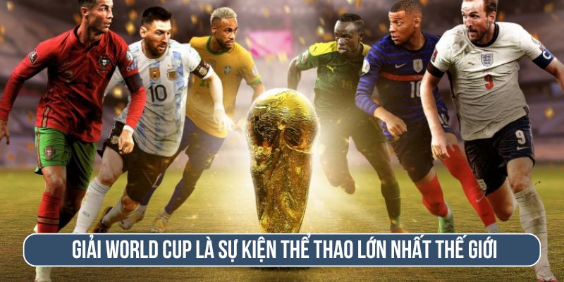 Giải World Cup được nhiều fan bóng đá quan tâm