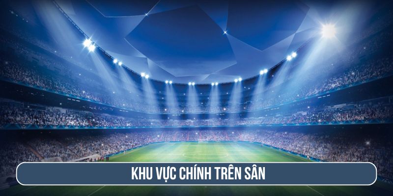 Sân bóng được phân chia thành nhiều khu vực chính