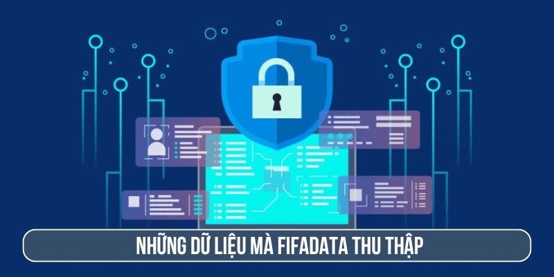 Những dữ liệu mà website chúng tôi thu thập