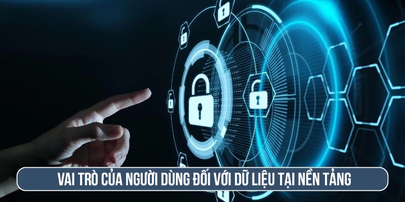 Vai trò của người dùng đối với dữ liệu tại nền tảng