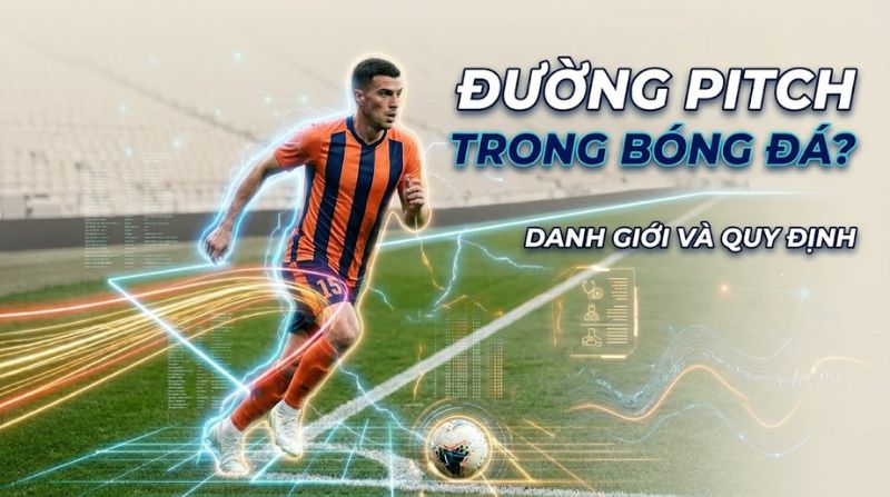 Giải đáp thuật ngữ đường pitch trong bóng đá là gì
