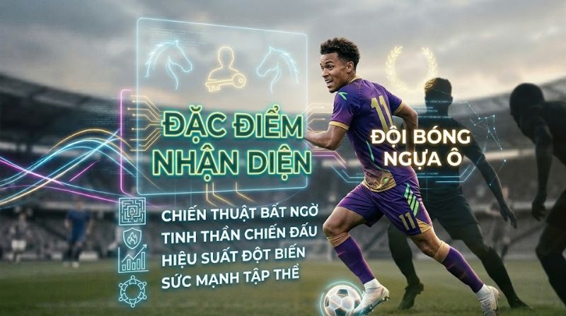 đội bóng ngựa ô