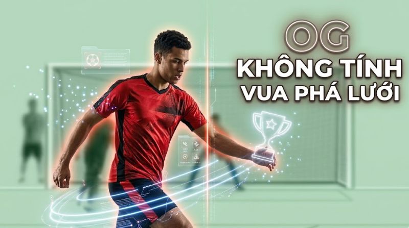 phản lưới nhà là gì