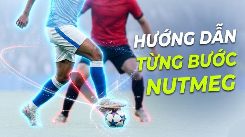 Hướng dẫn các bước cơ bản để thực hiện nutmeg