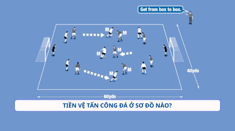 amf là gì trong bóng đá