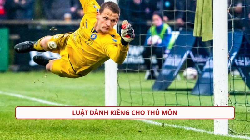Thông tin về luật dành riêng cho thủ môn