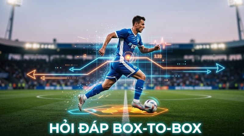 nhiệm vụ của box-to-box
