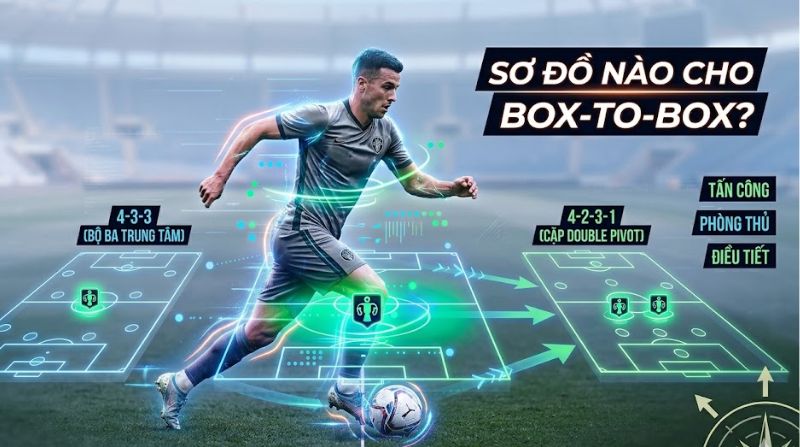 Box-to-box đá theo nhiều sơ đồ khác nhau