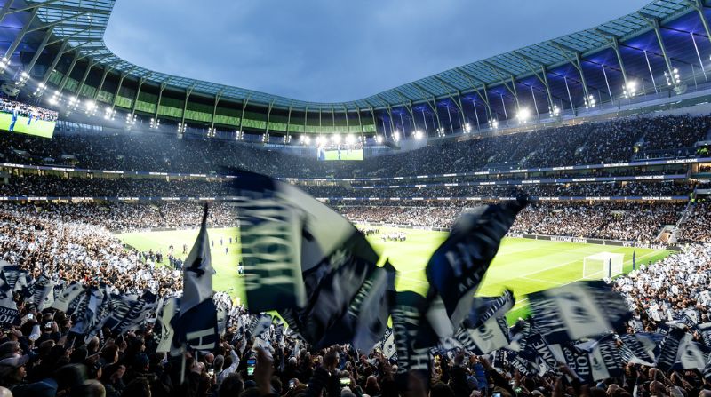 Fan Tottenham gọi là gì? Bật mí về biệt danh Gà trống Spurs & Lilywhites